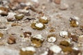 Bird droppings. macro Royalty Free Stock Photo