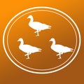 Bird Duck Goose Teal Illustration Logo Background Image