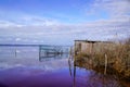 Bird duck hunting trap in the morning at wild sunrise over a calm rural lake pond