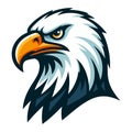 bird eagle hawk head logo mascot design vector illustration isolated on white background Royalty Free Stock Photo