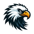 bird eagle hawk head logo mascot design vector illustration isolated on white background Royalty Free Stock Photo