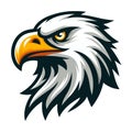 bird eagle hawk head logo mascot design vector illustration isolated on white background Royalty Free Stock Photo