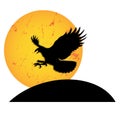 Bird eagle sunset sunrise moon silhouette