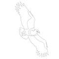 Bird eagle vector illustration profile side coloring