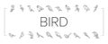 bird exotic animal nature wild icons set vector