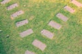 Bird eye view of concrete footpath or walkway in outdoor garden flanked with green grass meadow field. Royalty Free Stock Photo