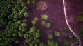 Bird eye view of decidous forest field in northern of thailand