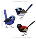 Bird Fairy Wren Set Cartoon Vector Illustration