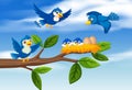 Bird family at tree branch Royalty Free Stock Photo