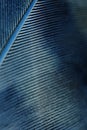 Bird feather close-up. Blue vertical tinted backdrop with a rhythmic pattern. Dark natural shimmering background or illustration. Royalty Free Stock Photo