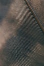 Bird feather close-up. Dark brown spotted natural wallpaper with a rhythmic pattern. Tinted vertical background as if with soot. Royalty Free Stock Photo