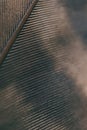 Bird feather close-up. Dark brown spotted natural wallpaper with a rhythmic pattern. Tinted vertical background as if with soot. Royalty Free Stock Photo