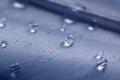 Bird feather close up with water drops Royalty Free Stock Photo