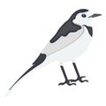 Bird, feather creature Vector Icon Royalty Free Stock Photo