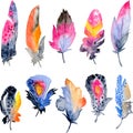 Bird feather element set. Hand drawn watercolor illustration Royalty Free Stock Photo