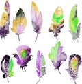Bird feather element set. Hand drawn watercolor illustration Royalty Free Stock Photo