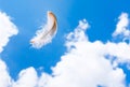 Floating feather in the sky Royalty Free Stock Photo