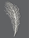 Bird feather on a gray background - hand painting illustration