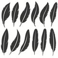 Bird feather icon, writing symbol. Fallen fluffy feathers isolated. vector