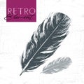 Bird feather in retro style.