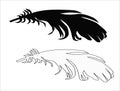 Bird feather shape vector isolated on white Royalty Free Stock Photo