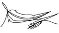 Bird feather and spikelet in one line on a white background. Royalty Free Stock Photo