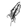 Bird feather, symbol of knowledge, writing and learning. Vector black and white illustration in vintage style