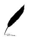 Bird feather vector illustration.Writing feather vector Royalty Free Stock Photo