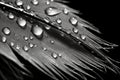 Bird feather water drop macro. Generate Ai