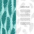 Bird feathers banner or poster design - brochure template
