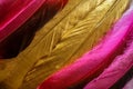 Bird feathers Royalty Free Stock Photo