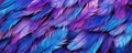 Bird Feathers Detailed Abstract Texture