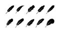 Bird feathers icon set isolated on white background. Different birds feathers. Feather shapes silhouetes. Plumelet collection.