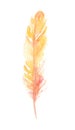 Bird Feathers Are Painted With Watercolors. Vintage Style Painting On An Isolated White Background.