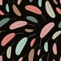 Bird feathers pattern pattern with chicken feather