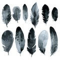 Bird feathers, set black gloomy watercolor hand drawing Royalty Free Stock Photo
