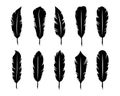 Bird feathers silhouette set illustration plumage