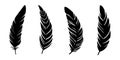 Bird feathers silhouettes collection. Black vector feathers isolated on white background Royalty Free Stock Photo