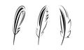 bird feathers To illustrate the processes of education, science, ease, write the text. graphic set black lin