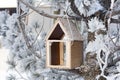 Bird feedbox hanging on the tree in the snow