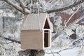 Bird feedbox hanging on the tree in the snow