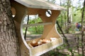 Bird feeder with bread