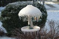 A bird feeder coated in ice