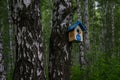 Bird feeder for forest birds. Care of nature.