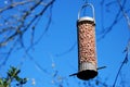 Bird feeder full of peanuts hanging against a blue sky Royalty Free Stock Photo