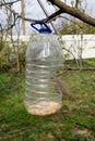 bird feeder in the garden. A plastic bottle feeder Royalty Free Stock Photo