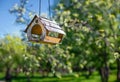 Bird feeder hanging on apple tree. Branch of apple tree with bird house. Nest box in public park for bird feed. Royalty Free Stock Photo