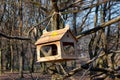 A bird feeder hangs on a tree branch in the forest park on a sunny day in early spring