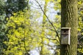 Bird feeder hung on a tree among the high leaves. Royalty Free Stock Photo