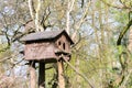 Bird feeder hung on a tree among the high leaves. Royalty Free Stock Photo